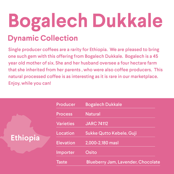 Bogalech Dukkale