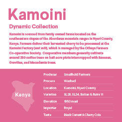 Kamoini